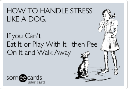 HOW TO HANDLE STRESSLIKE A DOG.      If you Can'tEat It or Play With It,  then PeeOn It and Walk Away
