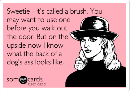 Sweetie - it's called a brush. You may want to use onebefore you walk outthe door. But on theupside now I knowwhat the back of adog's ass looks like.