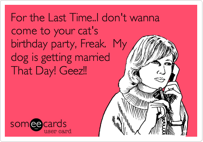 For the Last Time..I don't wanna come to your cat's
birthday party, Freak.  My
dog is getting married
That Day! Geez!!