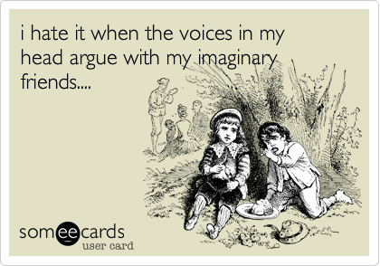 i hate it when the voices in my head argue with my imaginary friends....