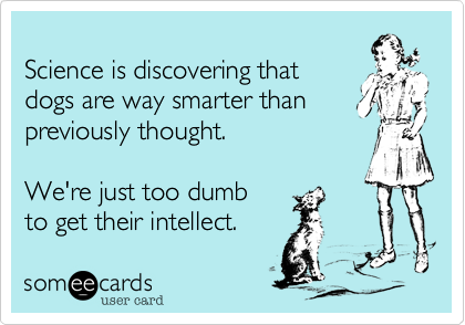 
Science is discovering that
dogs are way smarter than previously thought.

We're just too dumb 
to get their intellect.