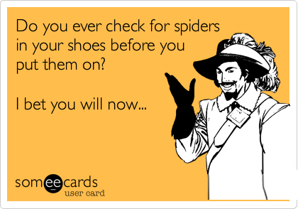 Do you ever check for spiders
in your shoes before you
put them on?

I bet you will now...