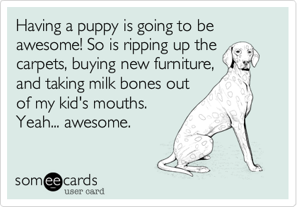 Having a puppy is going to be awesome! So is ripping up the
carpets, buying new furniture,
and taking milk bones out
of my kid's mouths.
Yeah... awesome.