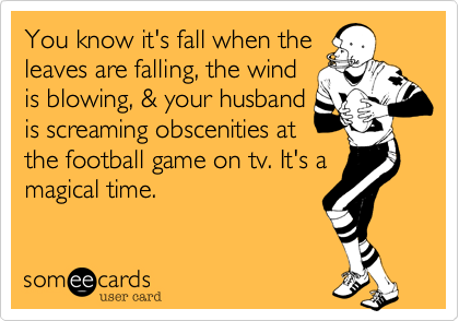 You know it's fall when the
leaves are falling, the wind
is blowing, & your husband
is screaming obscenities at
the football game on tv. It's a
magical time.
