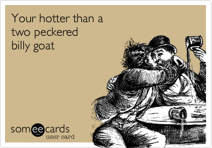 Your hotter than a  
two peckered  
billy goat