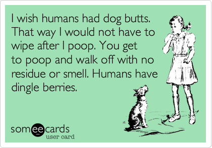 I wish humans had dog butts.That way I would not have towipe after I poop. You getto poop and walk off with noresidue or smell. Humans havedingle berries.