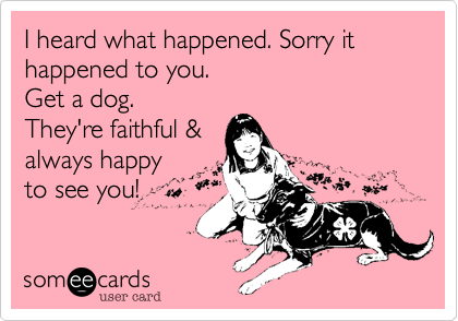 I heard what happened. Sorry it happened to you.Get a dog.They're faithful &always happyto see you!