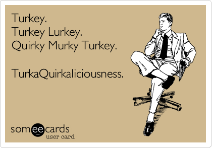 Turkey.
Turkey Lurkey.
Quirky Murky Turkey.

TurkaQuirkaliciousness.
