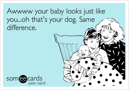 Awwww your baby looks just like you...oh that's your dog. Same
difference.