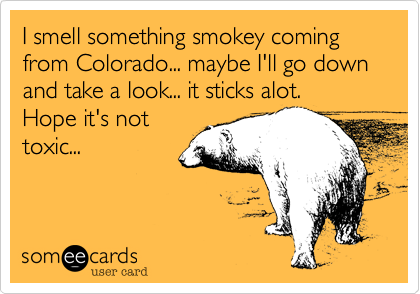I smell something smokey coming from Colorado... maybe I'll go down and take a look... it sticks alot.
Hope it's not
toxic...