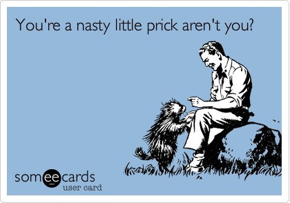 You're a nasty little prick aren't you?