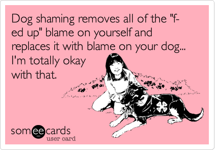 Dog shaming removes all of the "f-ed up" blame on yourself and replaces it with blame on your dog... I'm totally okay
with that. 