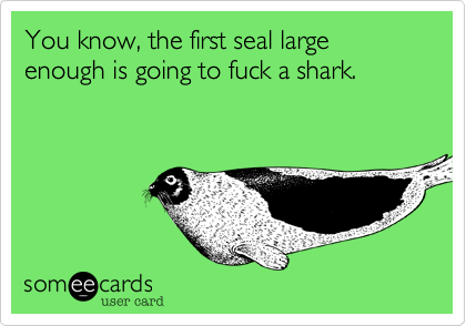 You know, the first seal large enough is going to fuck a shark. 