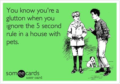 You know you're a
glutton when you
ignore the 5 second
rule in a house with
pets.