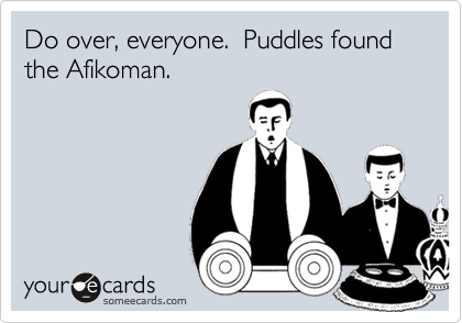 Do over, everyone.  Puddles found the Afikoman.
