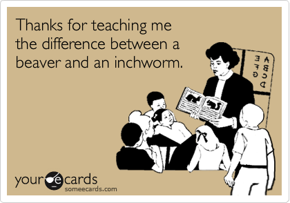 Thanks for teaching me 
the difference between a 
beaver and an inchworm.