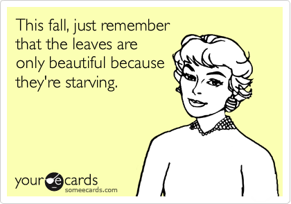This fall, just remember
that the leaves are
only beautiful because
they're starving.