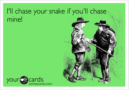 I'll chase your snake if you'll chase mine!