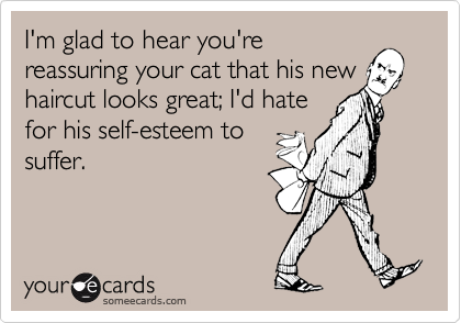 I'm glad to hear you'rereassuring your cat that his newhaircut looks great; I'd hatefor his self-esteem tosuffer.