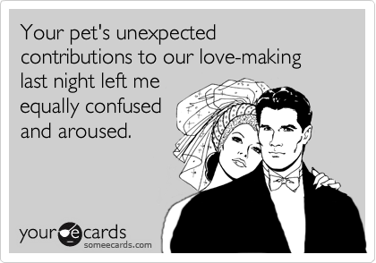Your pet's unexpected contributions to our love-making last night left meequally confusedand aroused.