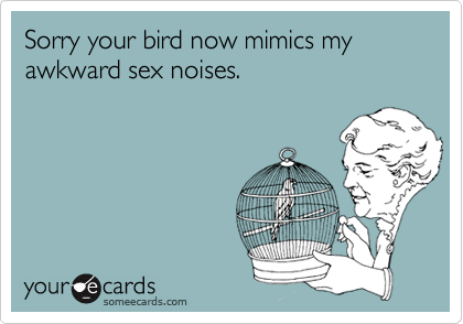 Sorry your bird now mimics my awkward sex noises.