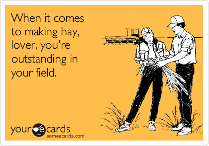 When it comes 
to making hay,
lover, you're 
outstanding in 
your field.