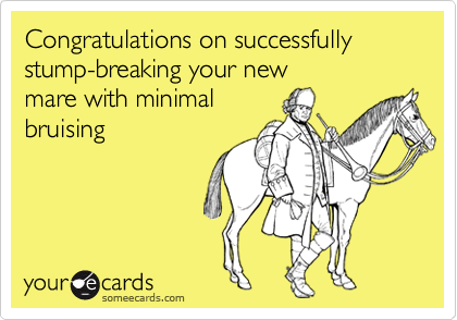 Congratulations on successfully stump-breaking your new                         
mare with minimal
bruising