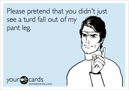 Please pretend that you didn't just see a turd fall out of my
pant leg.
