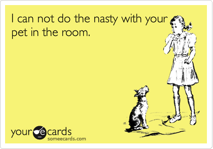 I can not do the nasty with your
pet in the room.