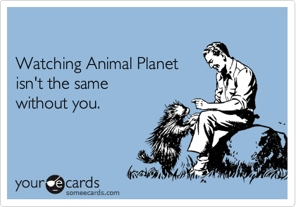 

Watching Animal Planet
isn't the same
without you.
