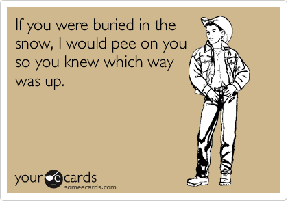If you were buried in the
snow, I would pee on you
so you knew which way
was up.