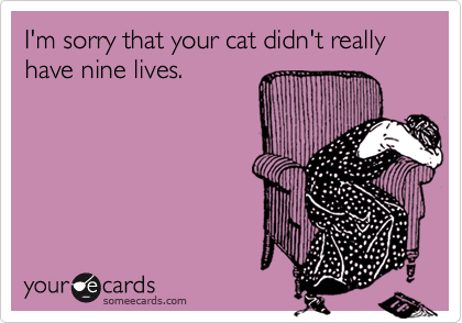 I'm sorry that your cat didn't really have nine lives.
