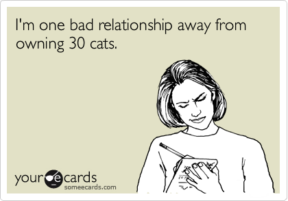 I'm one bad relationship away from owning 30 cats.