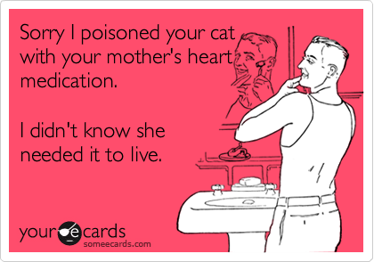 Sorry I poisoned your cat
with your mother's heart
medication. 

I didn't know she 
needed it to live.