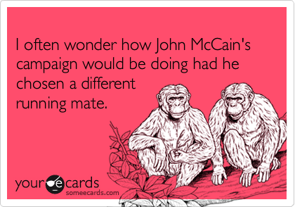 
I often wonder how John McCain's campaign would be doing had he chosen a different
running mate.