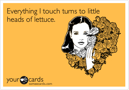 Everything I touch turns to little heads of lettuce.