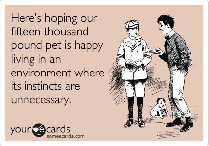 Here's hoping our
fifteen thousand
pound pet is happy
living in an
environment where
its instincts are
unnecessary.
