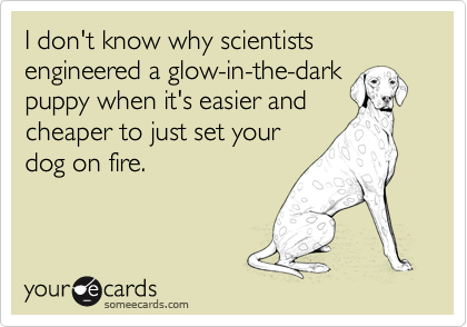 I don't know why scientists engineered a glow-in-the-dark
puppy when it's easier and
cheaper to just set your
dog on fire.