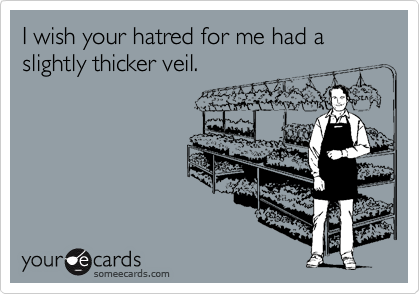 I wish your hatred for me had a slightly thicker veil.