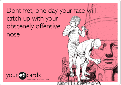 Dont fret, one day your face will catch up with yourobscenely offensivenose