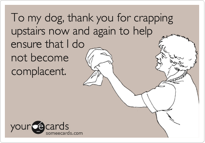 To my dog, thank you for crapping upstairs now and again to help
ensure that I do
not become
complacent.