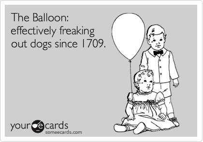 The Balloon:
effectively freaking
out dogs since 1709.