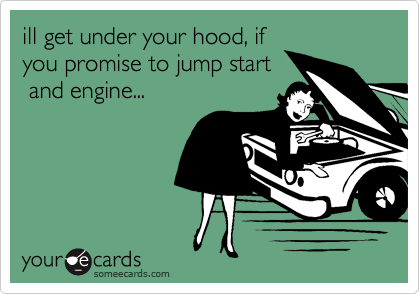 ill get under your hood, if
you promise to jump start
 and engine...