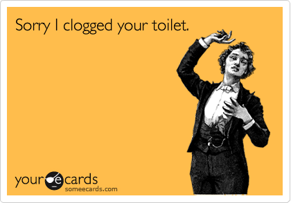 Sorry I clogged your toilet.