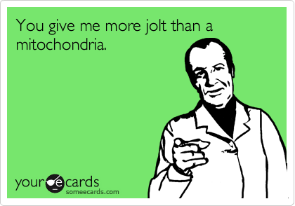 You give me more jolt than a mitochondria.