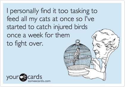 I personally find it too tasking to feed all my cats at once so I've started to catch injured birds
once a week for them
to fight over.