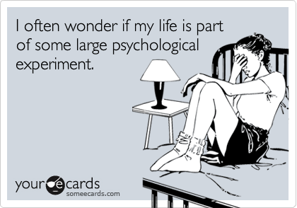 I often wonder if my life is part of some large psychologicalexperiment.