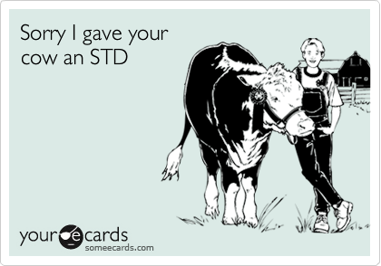 Sorry I gave your
cow an STD