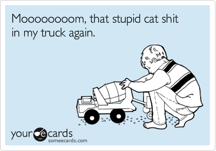 Moooooooom, that stupid cat shit in my truck again.