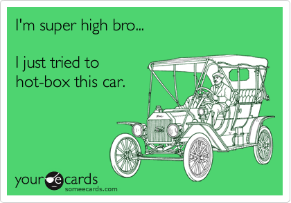 I'm super high bro...

I just tried to
hot-box this car.